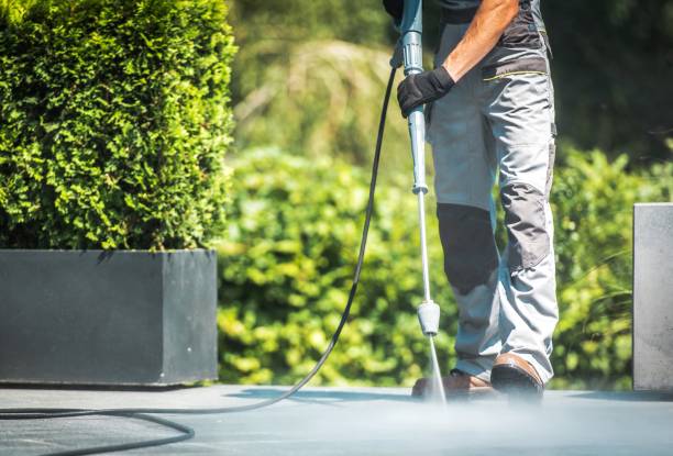 Best Fence Cleaning  in Woodward, IA