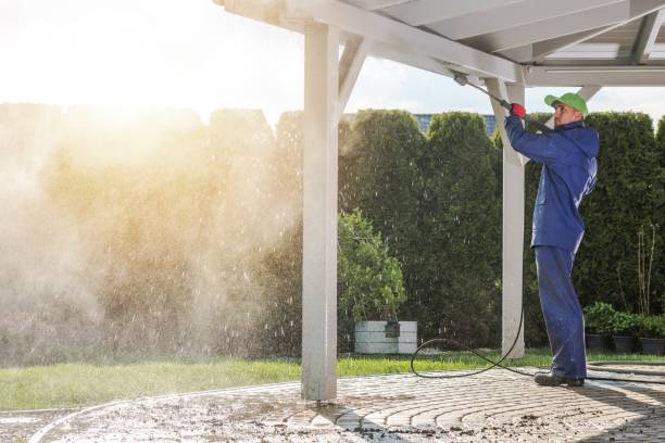 Best Pool Deck Cleaning  in Woodward, IA